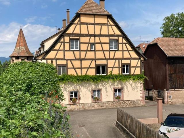 Joli Gite 2 Personnes En Alsace Guémar Esterno foto