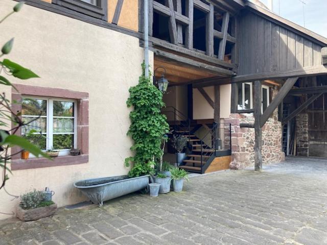 Joli Gite 2 Personnes En Alsace Guémar Esterno foto