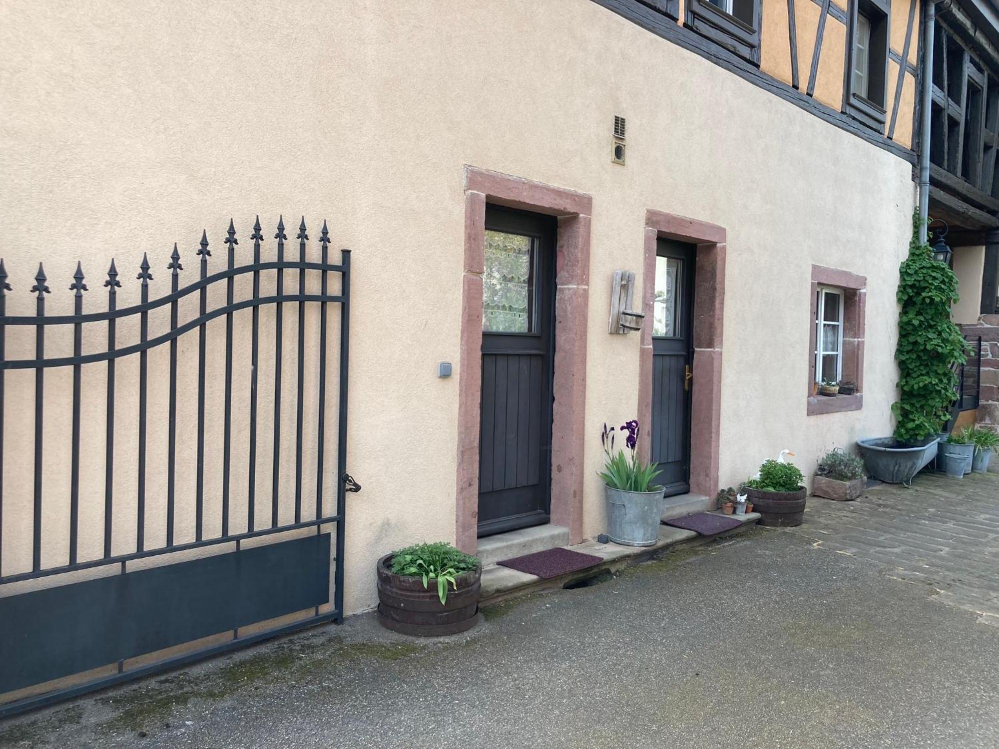 Joli Gite 2 Personnes En Alsace Guémar Esterno foto