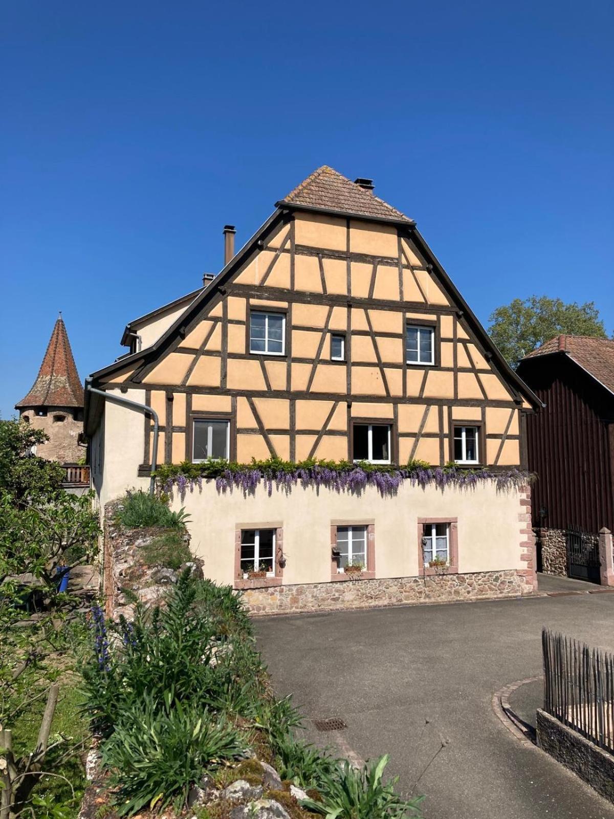 Joli Gite 2 Personnes En Alsace Guémar Esterno foto