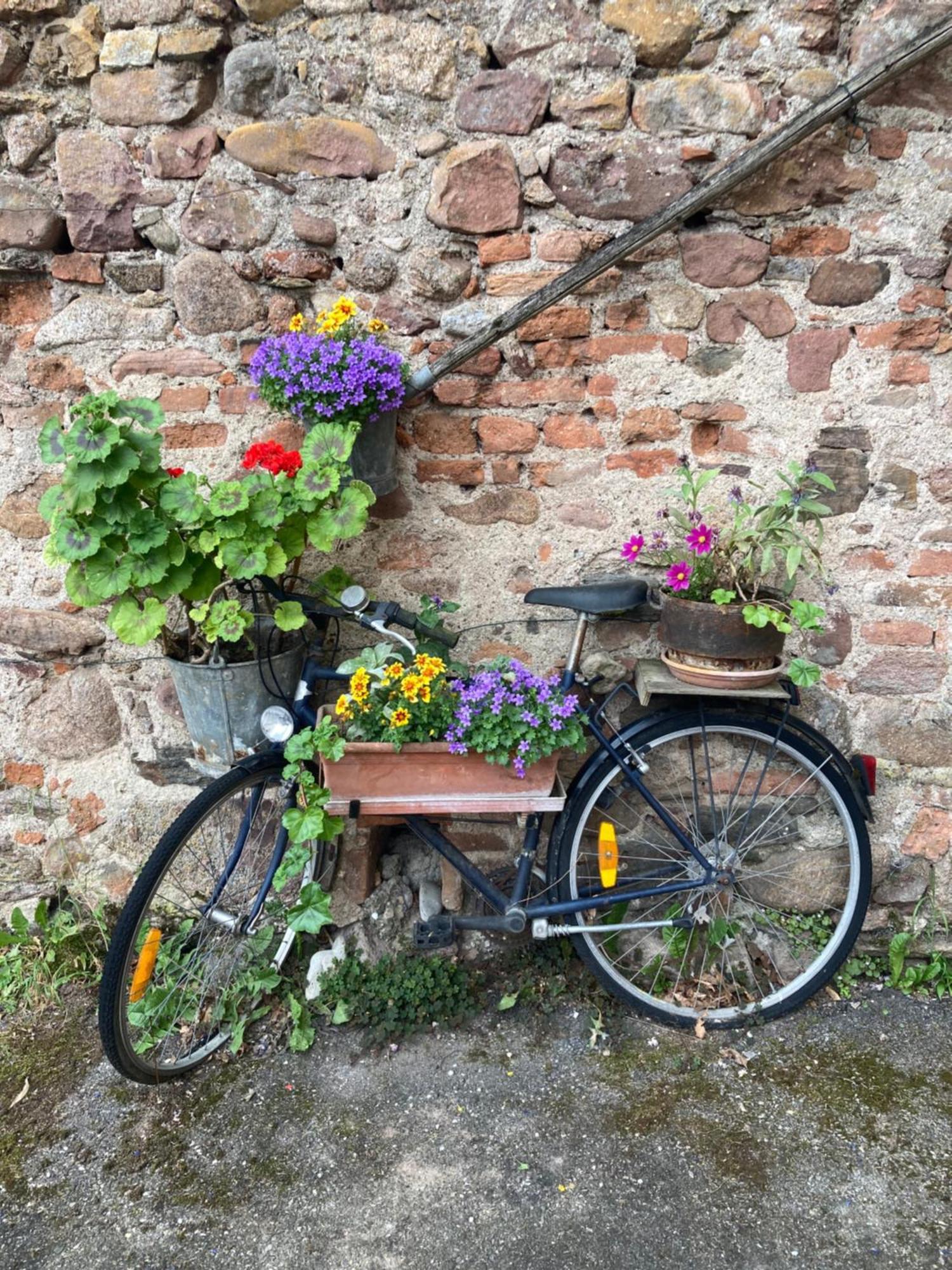 Joli Gite 2 Personnes En Alsace Guémar Esterno foto